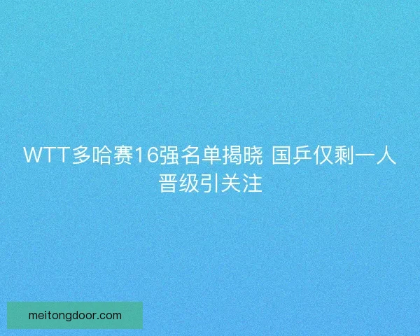 WTT多哈赛16强名单揭晓 国乒仅剩一人晋级引关注