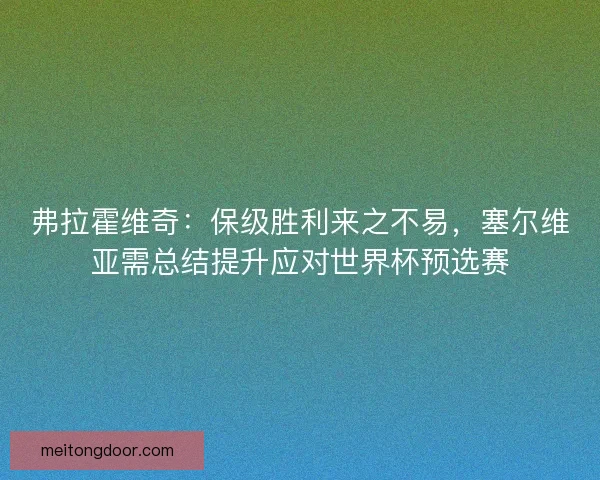 弗拉霍维奇：保级胜利来之不易，塞尔维亚需总结提升应对世界杯预选赛